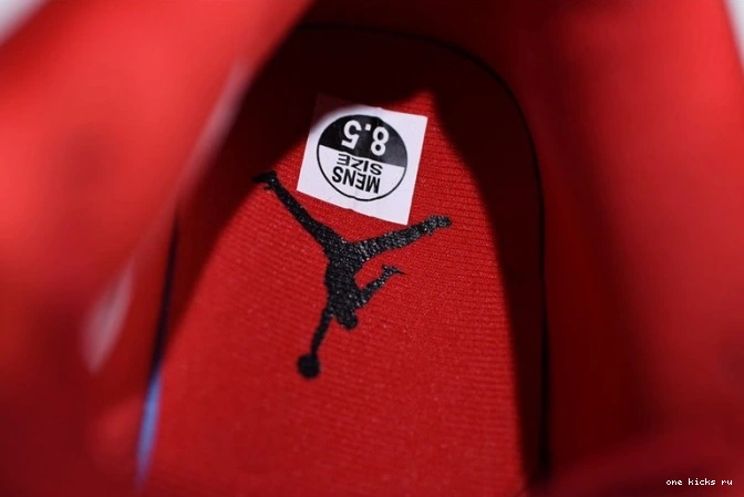 Chep Onekick Singles Air Jordan 4 AV3914-600 Day 0723